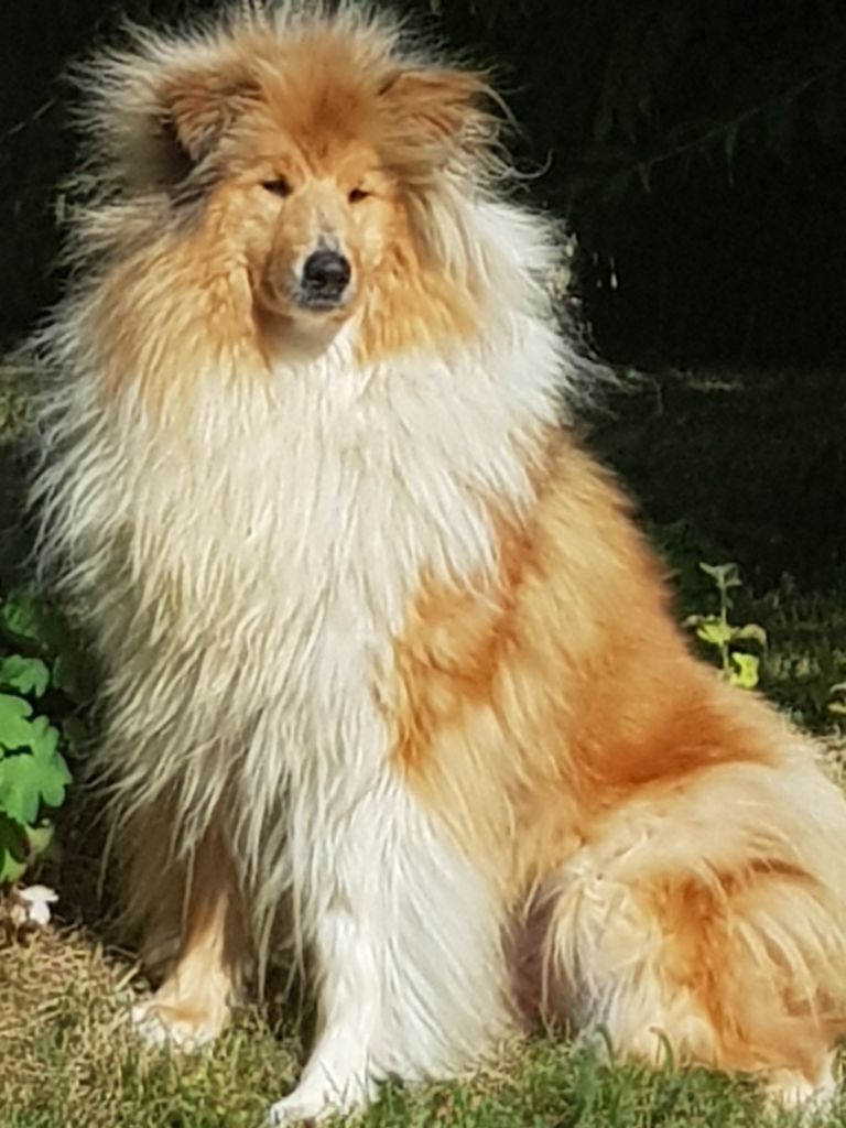 Uptown girl Des Conquêtes De Don Juan